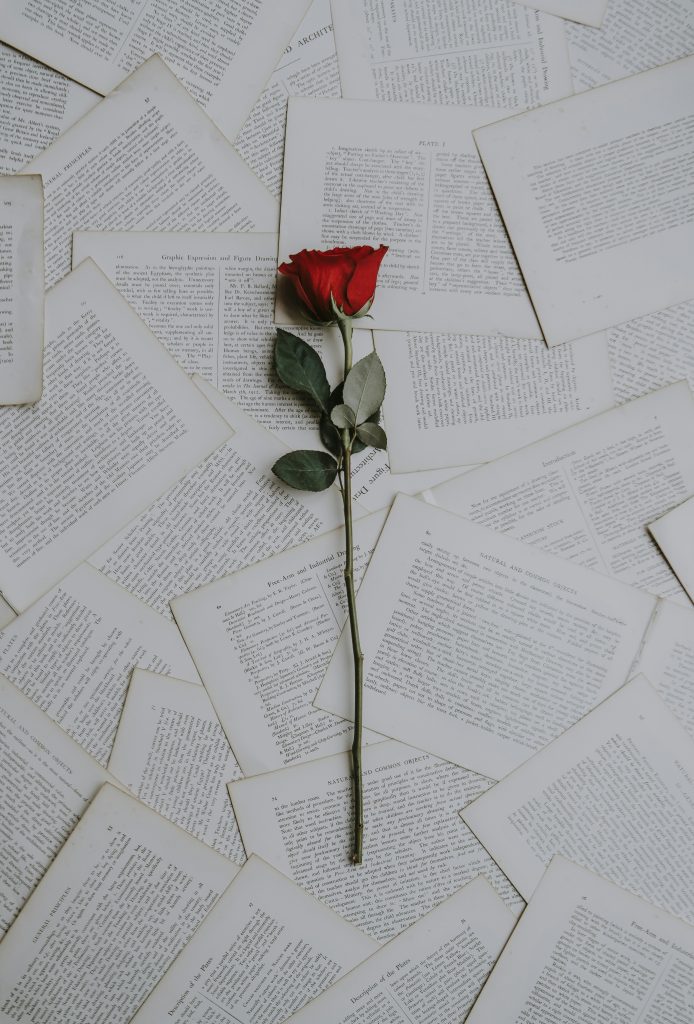 Bücherblätter mit Rose