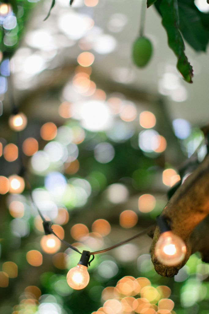 Lichterkette Gartenparty Sommer