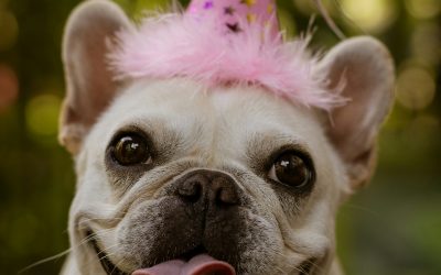 Lustige Sprüche zum Geburtstag: Die 50 besten Glückwünsche für jeden Anlass